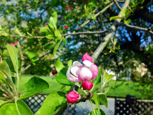 Produce Market «Highland Orchards Farm Market», reviews and photos, 1431 Foulk Rd, Wilmington, DE 19803, USA
