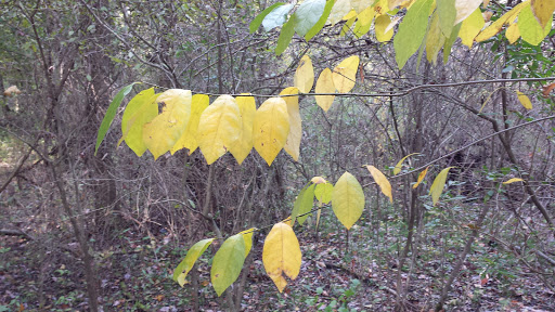 Nature Preserve «Beechwood Farms Nature Reserve», reviews and photos, 614 Dorseyville Rd, Pittsburgh, PA 15238, USA