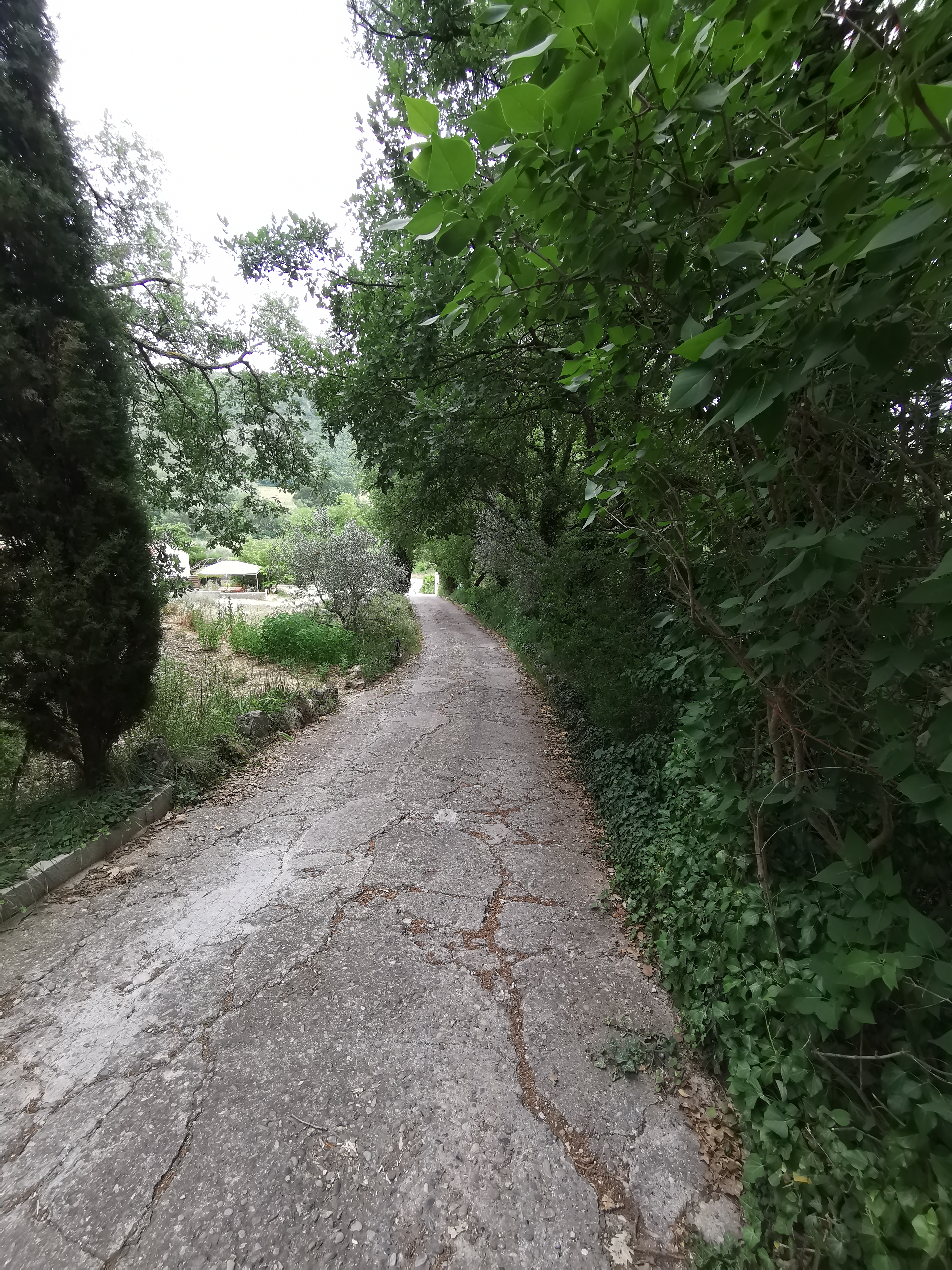 Photo n° 19 de l'avis de Lorand.a fait le 13/07/2019 à 18:11