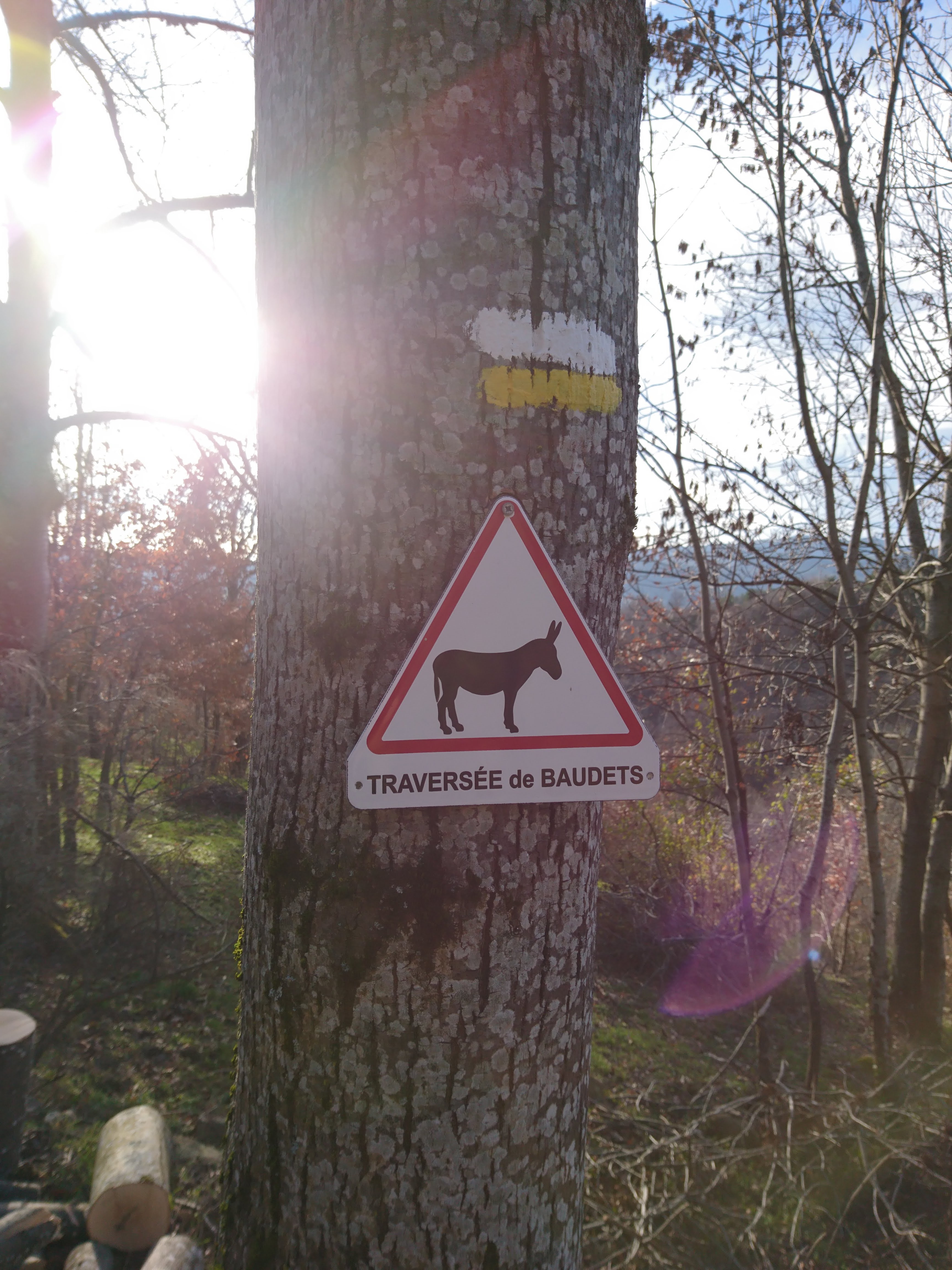 Photo n° 3 de l'avis de celia.t fait le 29/01/2019 à 11:23