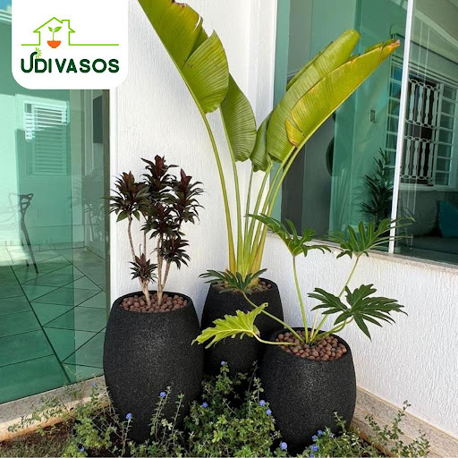 Logo da empresa - Udivasos