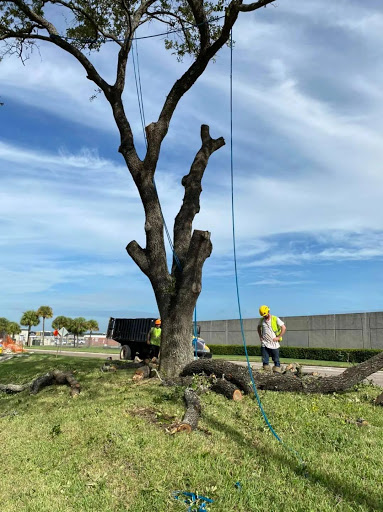 Mid-Florida Tree Service, Inc.