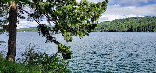 Inn «Country Star RV Park», reviews and photos, 6281 US-20, Foster, OR 97345, USA