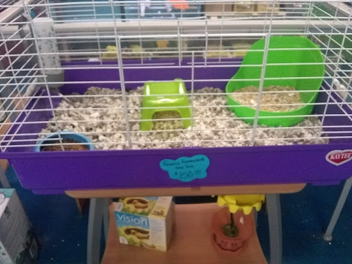 Pet Store «V.I. Pets», reviews and photos, 11975 E Lakewood Blvd, Holland, MI 49424, USA