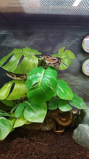 Pet Supply Store «Petco Animal Supplies», reviews and photos, 1419 Towne Square Blvd NW, Roanoke, VA 24019, USA