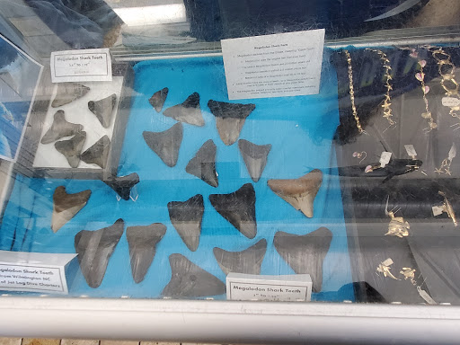 Marina «Sunrise Fish Dive Surf», reviews and photos, 505 Glen Cheek Dr, Port Canaveral, FL 32920, USA