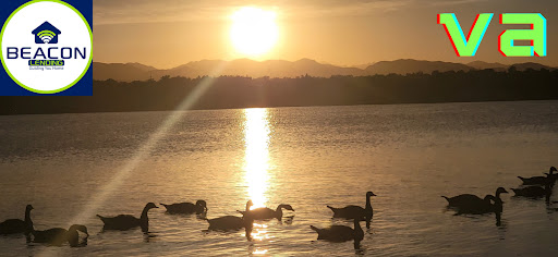 Mortgage Lender «The Mortgage Network : Brian Quigley», reviews and photos