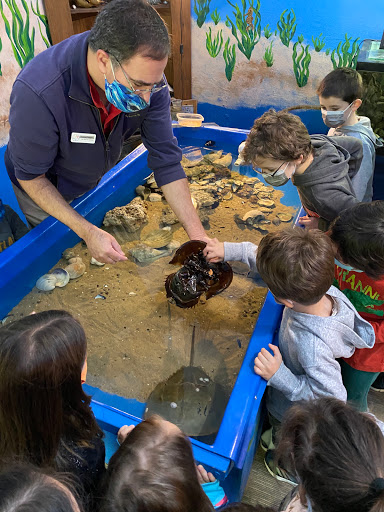 Aquarium «Glen Echo Park Aquarium», reviews and photos, 7300 MacArthur Blvd, Glen Echo, MD 20812, USA