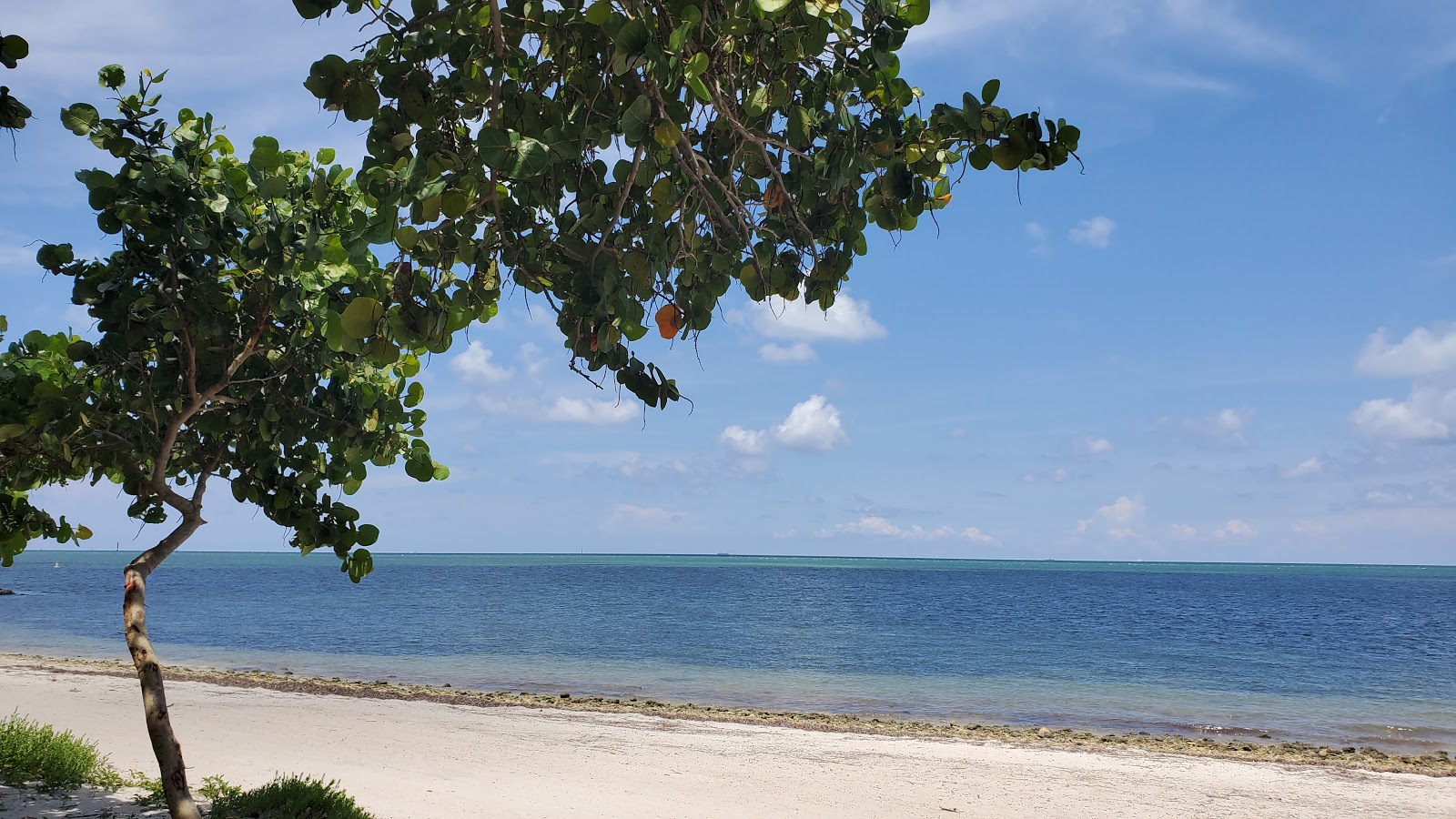 Virginia Key beach'in fotoğrafı ve yerleşim