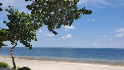Virginia Key beach'in fotoğrafı ve yerleşim