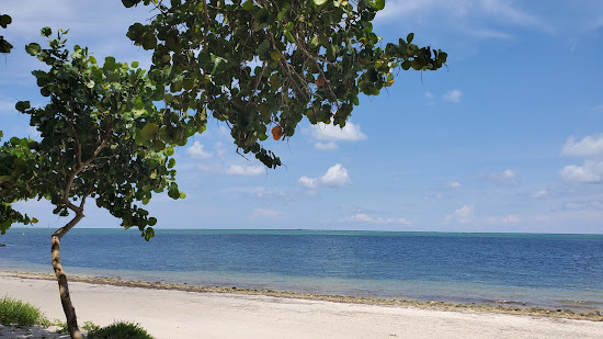 Virginia Key beach