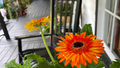 Hostel «Blue Goose Bike Hostel», reviews and photos, 128 E Main St, Irwinton, GA 31042, USA