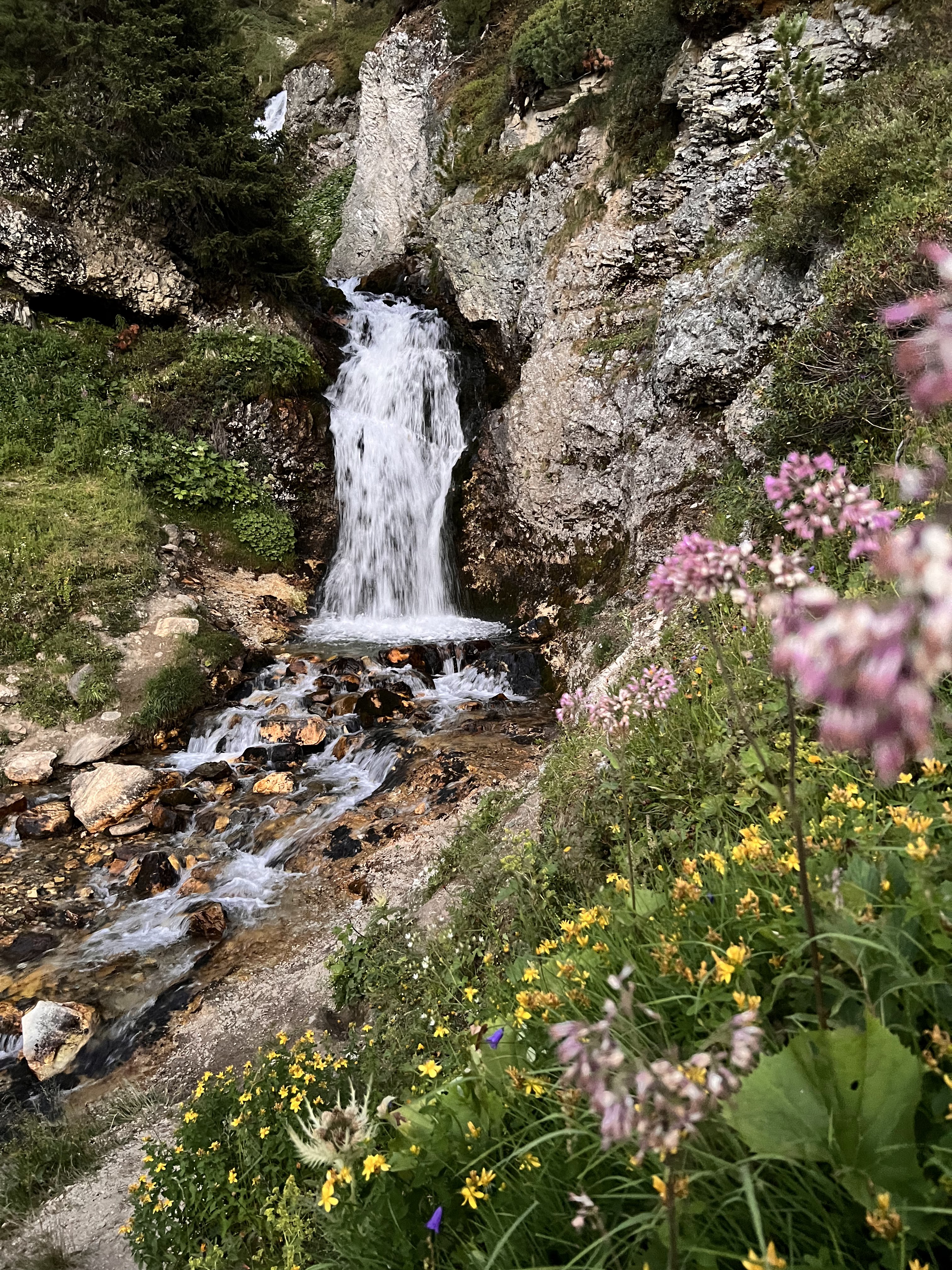 Photo n° 2 de l'avis de Fred.. fait le 28/07/2022 à 12:47