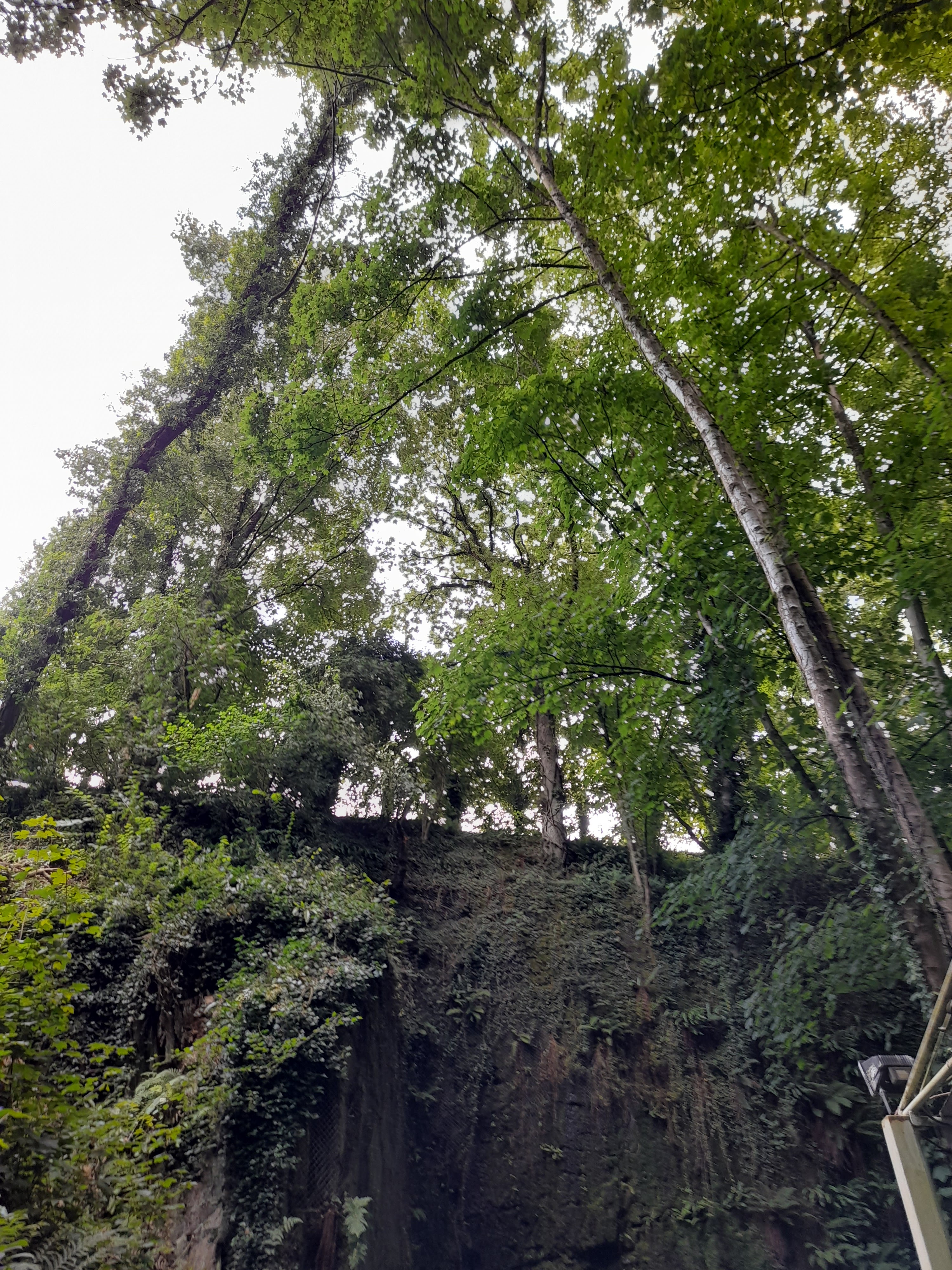 Photo n° 5 de l'avis de Elsa.r fait le 16/08/2021 à 16:40