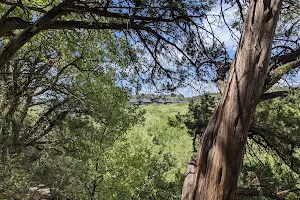 Barton Creek Greenbelt Trailhead image