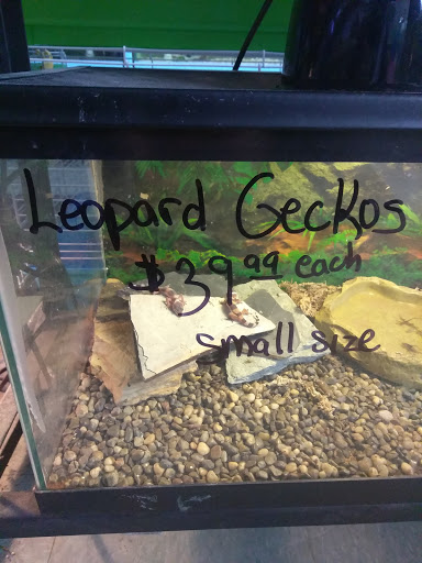 Pet Supply Store «D & D Pet Center», reviews and photos, 8813 Michigan Ave, Detroit, MI 48210, USA