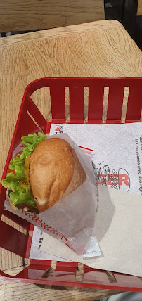 Sandwich au poulet du Restaurant Burger & Fries à Paris - n°6
