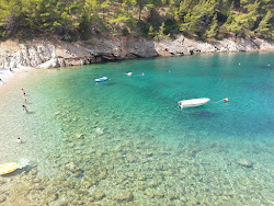 Mala Pogorila II beach'in fotoğrafı ve yerleşim