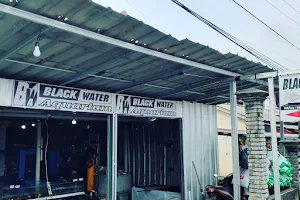 Black Water Aquarium image