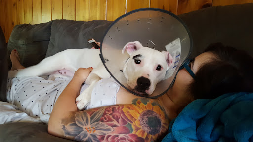 Explore bf gf tattoo ideas, creative tattoo ideas in Oak Grove, available at NeverMore Galleries Tattoo Studio