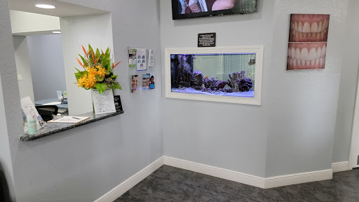 3310 Alt 19, Dunedin, FL 34698, USA