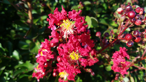 Park «Sherando Park», reviews and photos, 255 Lakeview Cir, Stephens City, VA 22655, USA