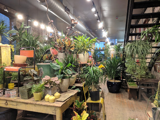 Florist «A New Leaf», reviews and photos, 1645 N Wells St, Chicago, IL 60614, USA