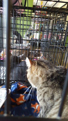 Pet Supply Store «Pet Supplies Plus», reviews and photos, 9 Waukegan Rd, Deerfield, IL 60015, USA