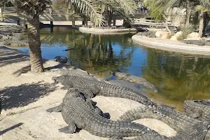 Djerba Crocodile Farm image