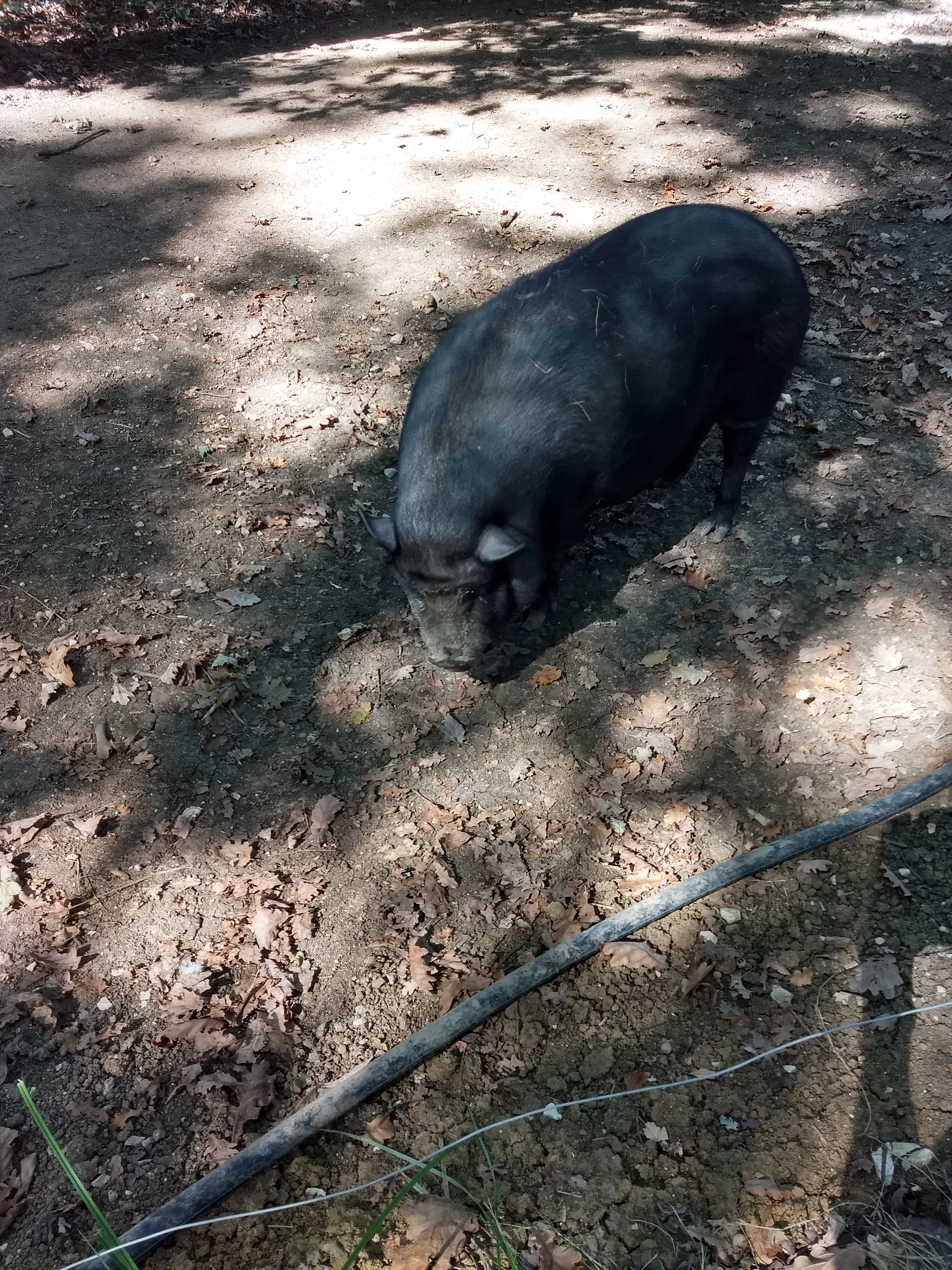 Photo n° 7 de l'avis de aurore. fait le 15/09/2018 à 17:03