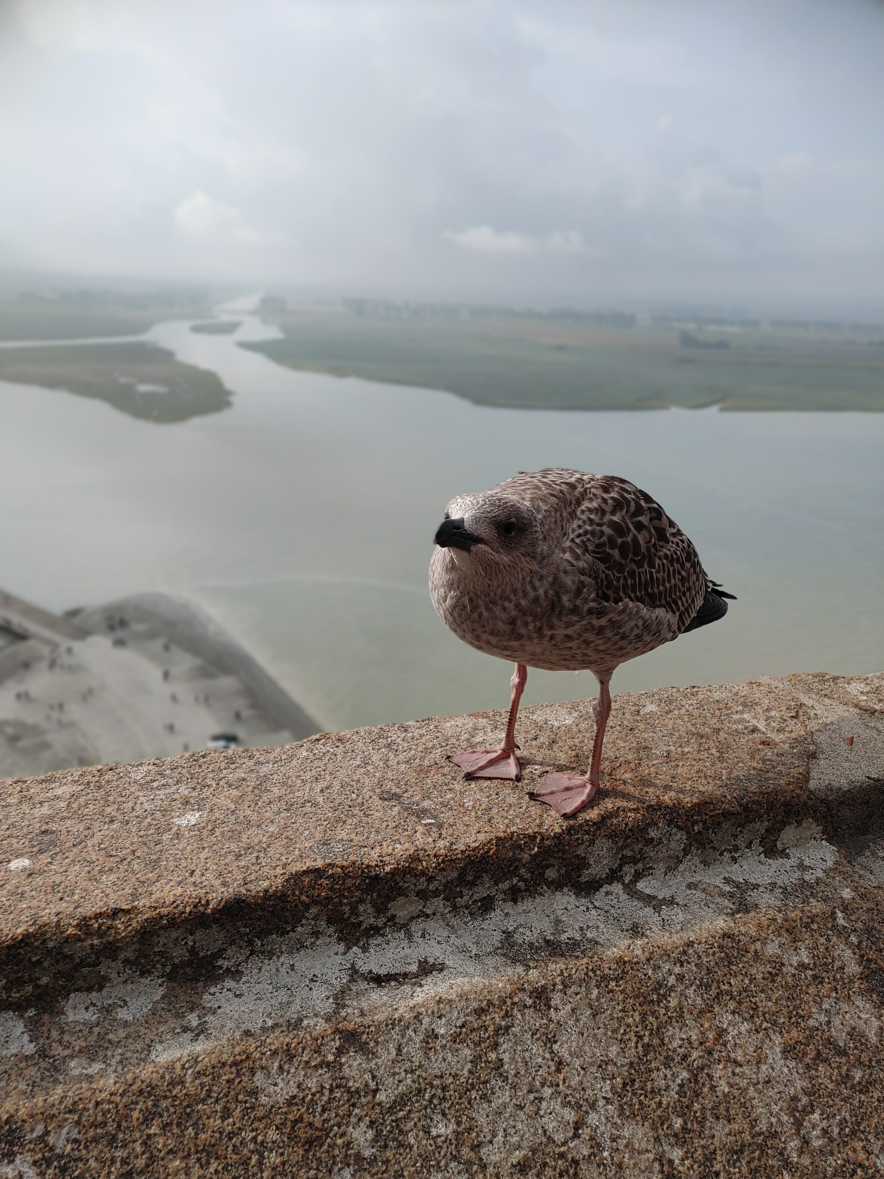 Photo n° 14 de l'avis de Heijo.x fait le 23/09/2022 à 12:33