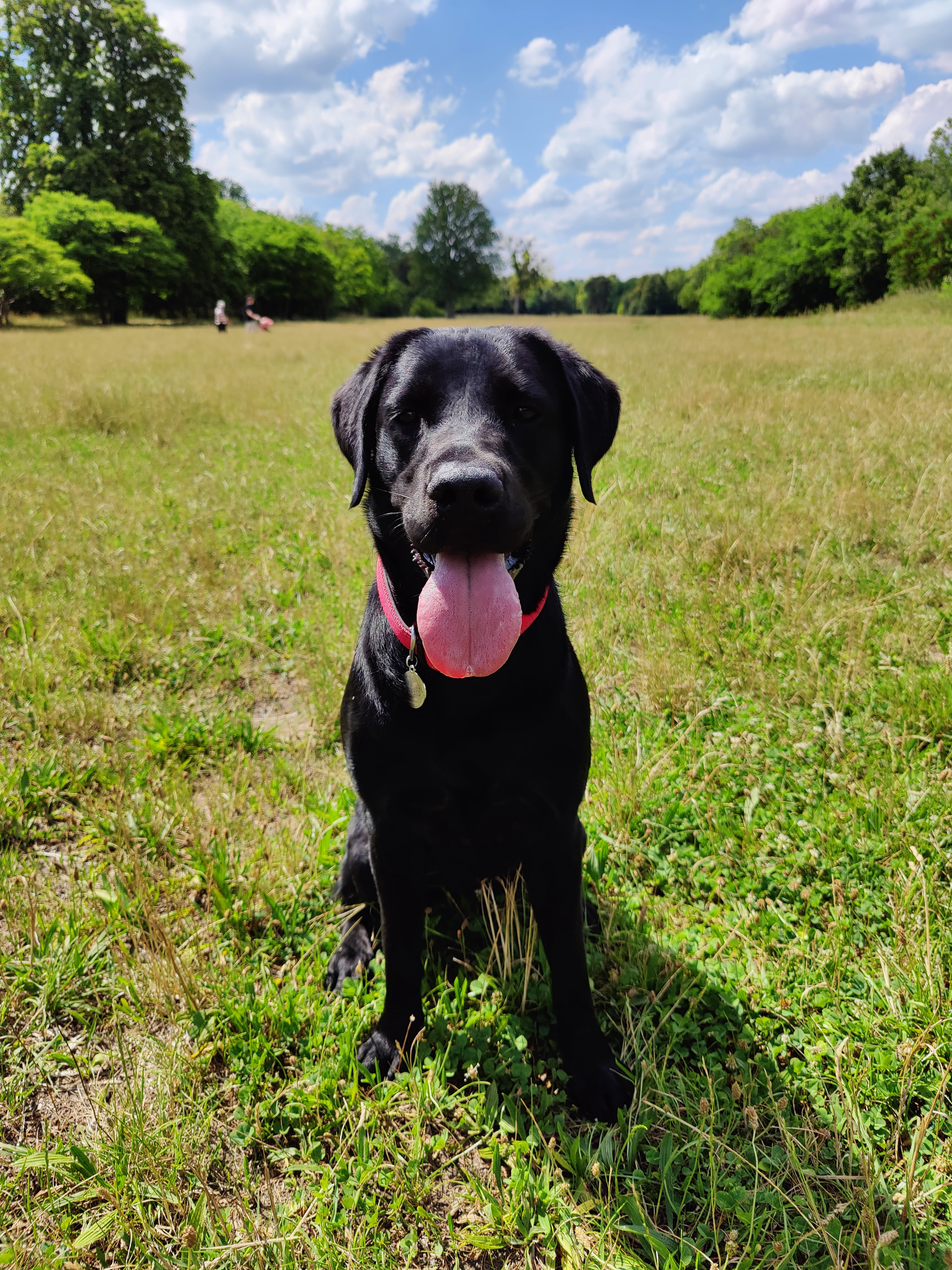 Photo n° 2 de l'avis de Benjamin.o fait le 24/10/2022 à 17:37