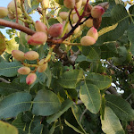 Photo n°3 de l'avis de YCM. fait le 21/09/2019 à 16:26 sur le  Magaggiari Hotel Resort à Cinisi