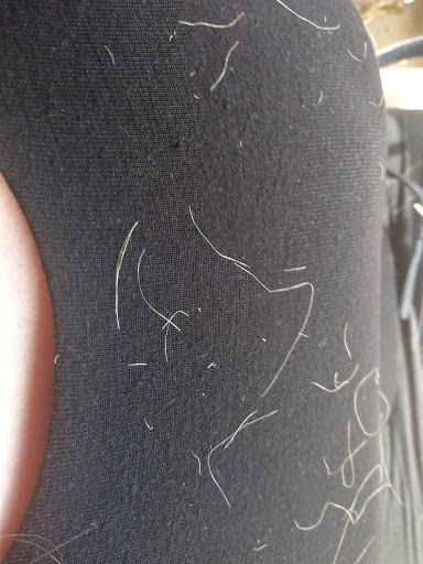 Hair Salon «Fantastic Sams Cut & Color», reviews and photos, 440 E Burleigh Blvd, Tavares, FL 32778, USA