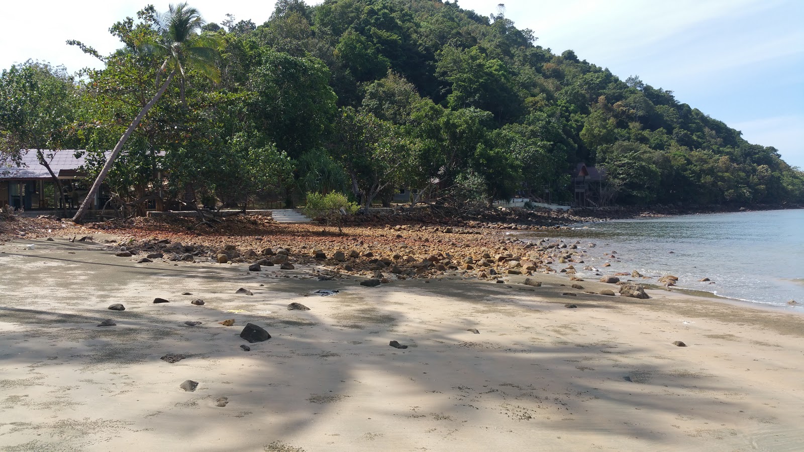 Photo de Coconut Beach avec un niveau de propreté de assez propre