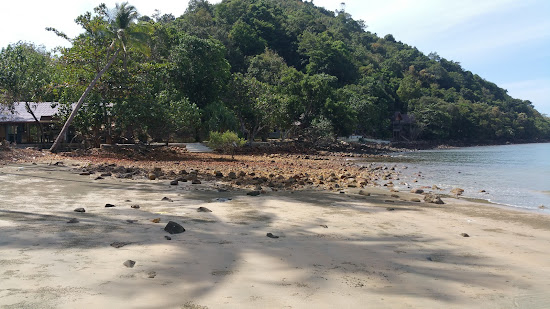 Coconut Beach