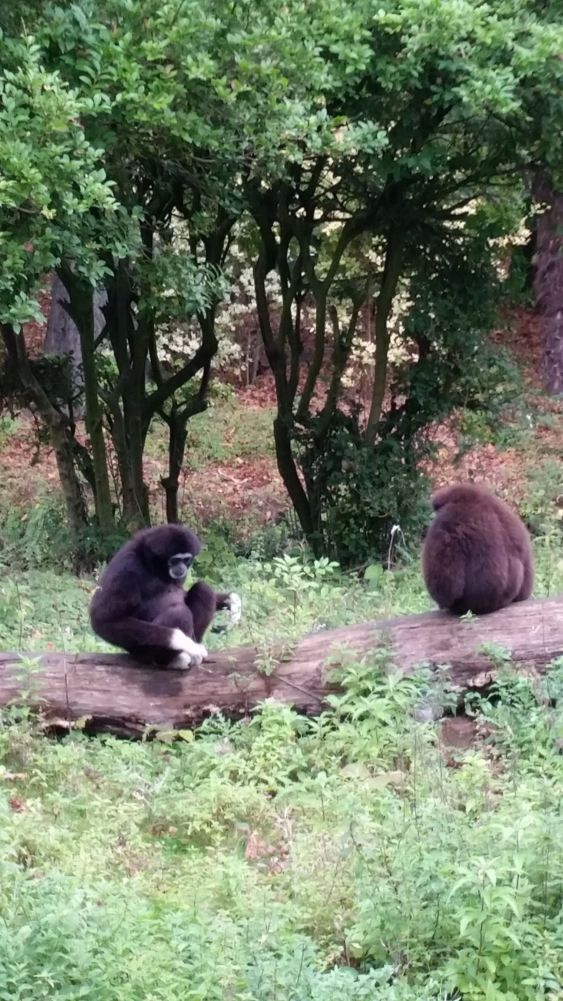 Photo n° 6 de l'avis de Adeline. fait le 08/10/2017 à 15:43