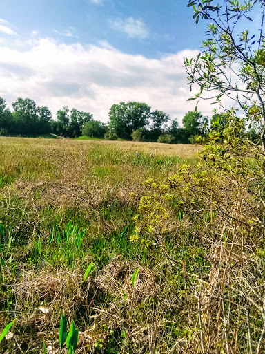 Golf Club «The Champion Turf Club at St. James», reviews and photos, 7900 Selvitz Rd, Port St Lucie, FL 34983, USA