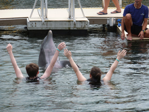 Recreation «Dolphins Plus Oceanside», reviews and photos, 31 Corinne Pl, Key Largo, FL 33037, USA