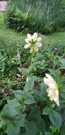 Event Venue «Bridal Veil Lakes», reviews and photos, 3255 NE Henderson Rd, Corbett, OR 97019, USA