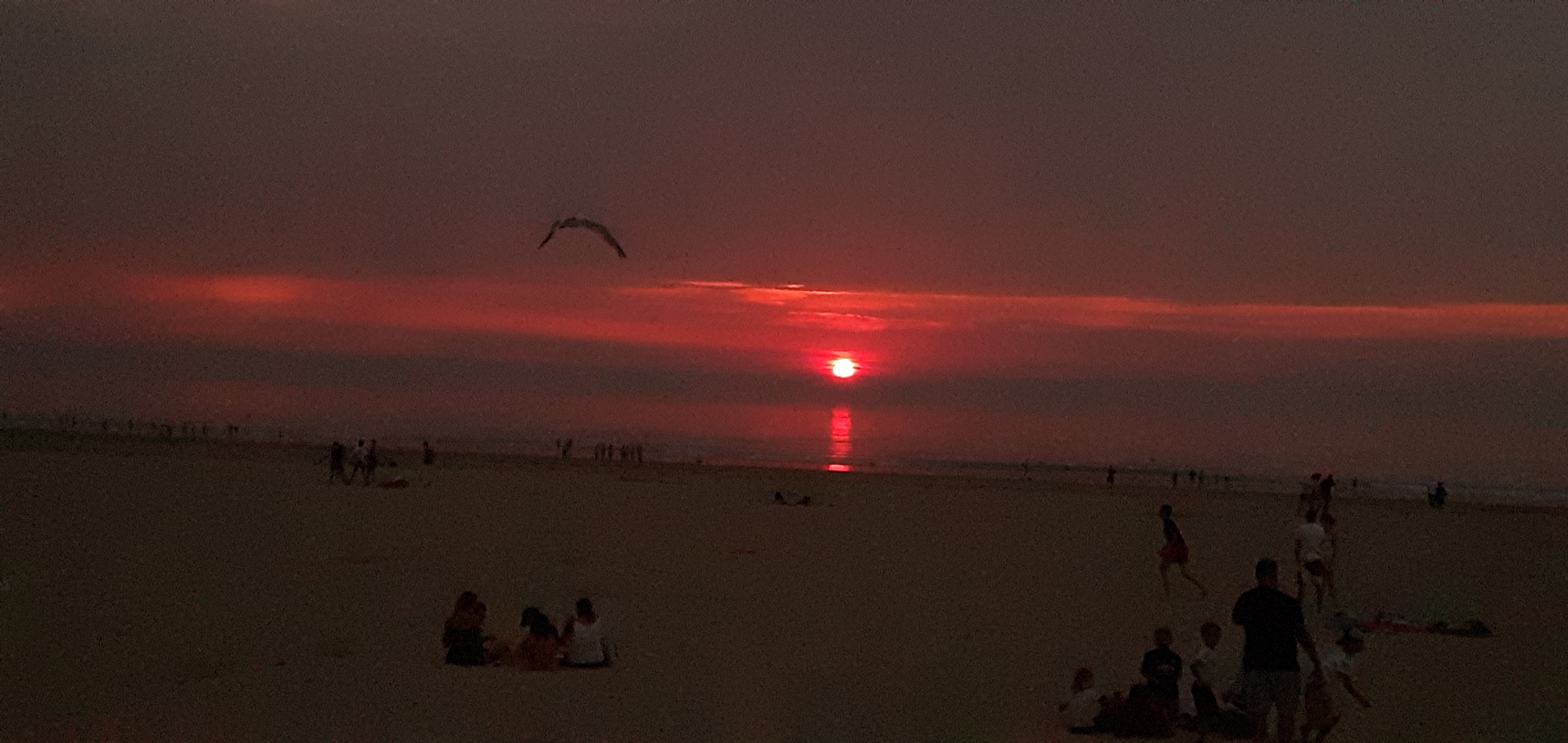 Photo n° 1 de l'avis de Emmanuelle.h fait le 10/08/2020 à 20:24