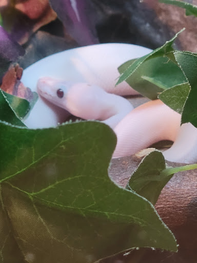 Pet Store «The Pet Works», reviews and photos, 407 4th Ave E, Olympia, WA 98501, USA