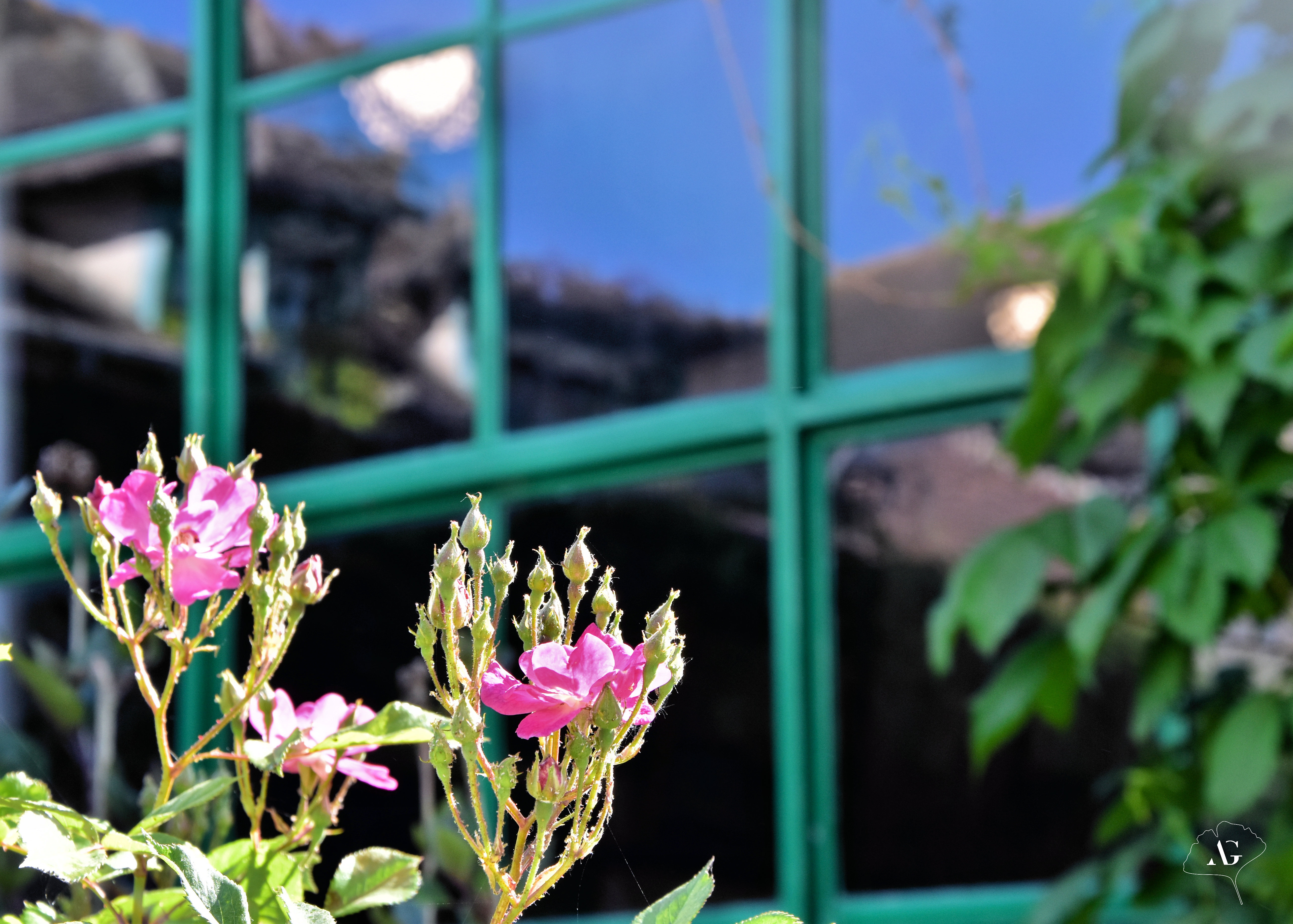 Photo n° 18 de l'avis de Audrey.. fait le 17/05/2022 à 09:49