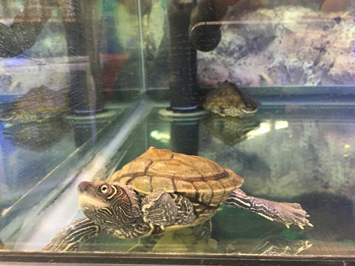 Pet Supply Store «Petco Animal Supplies», reviews and photos, 103 Commerce Way a, Woburn, MA 01801, USA