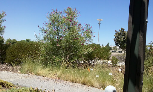 San Joaquin County Agricultural Commissioner image