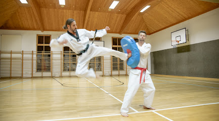 Taekwondo Verein Landeck