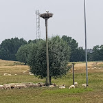 Photo n°34 de l'avis de Reinhold.c fait le 18/07/2020 à 17:02 sur le  Hotel Pension Haus Pooth Wesel à Wesel