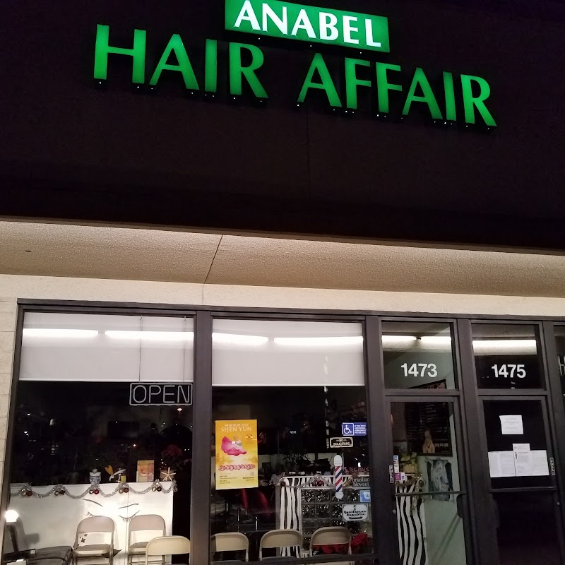 Anabel Hair Affair