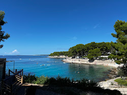 Plaza Camping Cikat'in fotoğrafı imkanlar alanı