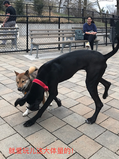 Park «Doughboy Park», reviews and photos, Woodside Ave, Woodside, NY 11377, USA